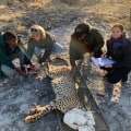 The Coexistence of Humans and Wildlife in Weld County, Colorado