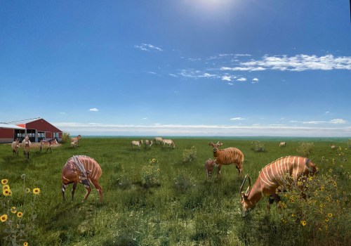 The Importance of Protecting Wildlife in Weld County, Colorado
